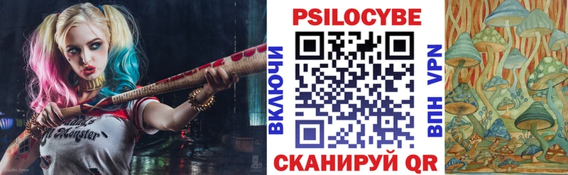 darknet наркотические препараты  Туран  Галлюциногенные грибы мухоморы  где можно купить наркотик 